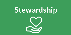 Stewardship